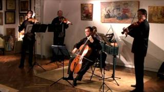 Antonio Vivaldi Concerto La Stravaganza Ð¾p4 No1 [upl. by Trilley]