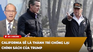 Thời Sự Thế Giới P3 11082024 California sẽ là thành trì chống lại chính sách của Trump [upl. by Noisla]