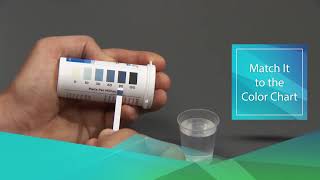 How to Use Peracetic Acid Test Strips [upl. by Ative]