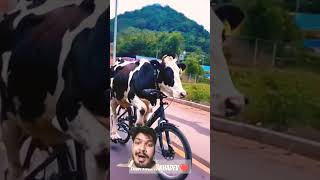 cycle chalate Hue cowcowlove funnycomedyshortsfeedytshortsviralshortamazingunbelievablewow [upl. by Halludba]