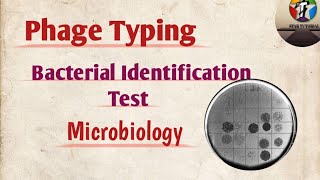 Phage Typing ll Bacterial identification test ll Microbiology [upl. by Gnov]