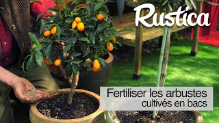 Fertiliser les arbustes cultivés en pot [upl. by Meagan]