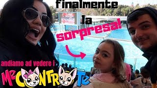 VLOG DAI ME CONTRO TE A ZOOMARINE  SORPRESONA A LARA FINALMENTE  chiara paradisi [upl. by Chet]