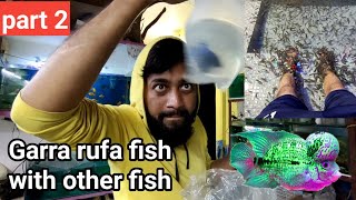 doctor fish unboxing with new fish  part 2 [upl. by Aihsital]