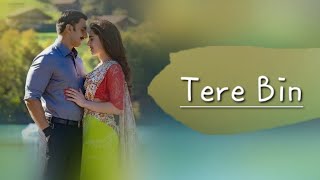 TERE BIN Lyrics  Tanishk Bagchi Rahat Fateh Ali Khan amp Asees Kaur  Lyrical Video  MW  TUE [upl. by Alfonso]