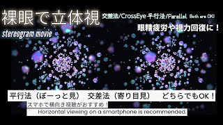 【３D立体視動画】Star beads眼精疲労回復や視力の回復にも【stereogram movie】 [upl. by Xenia636]