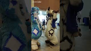 【Fursuit Dance】 Qita 七塔也掉毛  Cascada Everytime We Touch [upl. by Dareece231]