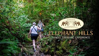 Experience the Wonders of Khao Sok with Elephant Hills Jungle Trekking [upl. by Nyre]