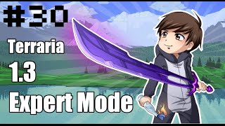 Expert Mode Playthrough  Terraria 13 Ep30 [upl. by Yzus]