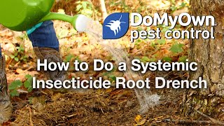 How to Apply a Systemic Insecticide Root Drench  DoMyOwncom [upl. by Navannod]