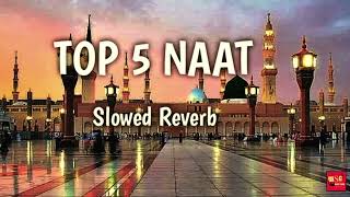 Top 5 Naat List SlowedampReverb Nonstop Super Hit Naat Sharif List  Hassan Ali Official [upl. by Quar]