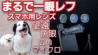 スマホ用レンズで一眼レフに！？望遠・魚眼・広角・マイクロレンズがセット楽天・Amazon・selvim [upl. by Luisa]