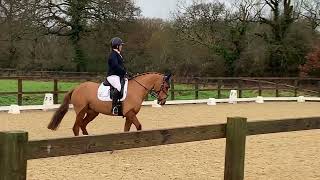 Sillan Clementine BD Novice Test 5 Parwood Equestrian 051224 [upl. by Anita]