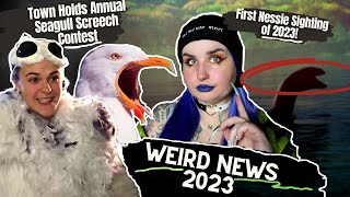 9 Loch Ness Monster Sightings In 2023  Annual Seagull Squawk Competition  Weird News 2023 [upl. by Sholeen273]