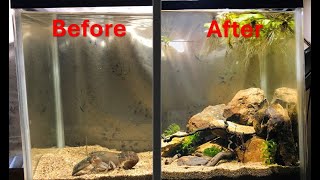 Building a RIVERSCAPE for my baby Yabbies [upl. by Rodger]