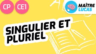 Le singulier et le pluriel CP  CE1  Cycle 2  Français  étude de la langue Lecture [upl. by Fedirko417]