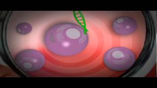 Genethon Bioprod  2  La thérapie génique [upl. by Culbertson]