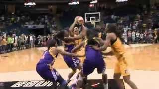 Skylar Diggins Top 10 Plays of the 2014 Season [upl. by Hinch]