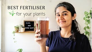 Best Fertiliser for Plants at Home [upl. by Zola122]