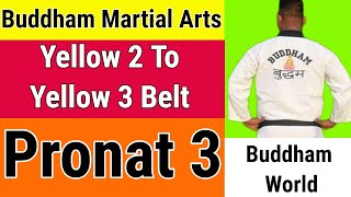 Pronat 3  Yellow 2 to Yellow 3 Belt Promotio  Buddham Martial Arts [upl. by Ahsineb732]