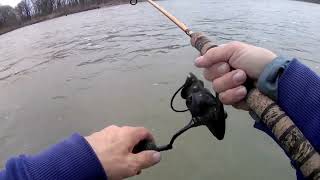 Loosing my Custom Okuma Dead Eye Walleye Rod In The Maumee River Walleye Run 2024 [upl. by Bendix]