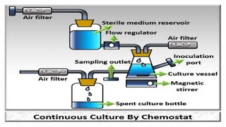 Chemostat continuous culture🤩🤩 [upl. by Neelhtak787]