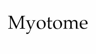 How to Pronounce Myotome [upl. by Wind]