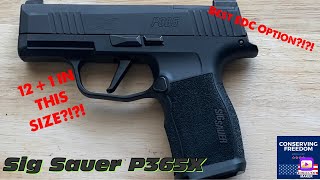 GUN REVIEW Sig Sauer P365x [upl. by Derag]