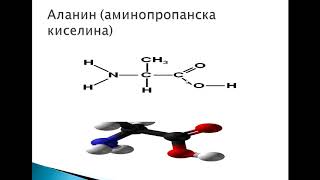 Aminokiseline Proteini [upl. by Leik]