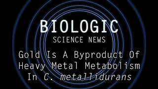 Science News  Gold Is A Byproduct Of Heavy Metal Metabolism In C metallidurans [upl. by Aitnahc741]