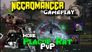 ESO Necromancer PvP  Plague Rat bow necro pvp [upl. by Madlen]