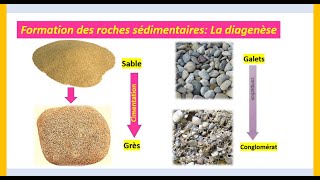 Formation des roches sédimentaires Diagenèse SVT 1APIC [upl. by Lucille]