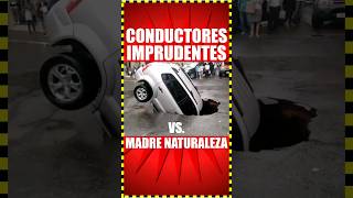 No hagas esto o lo lamentaras CONDUCTORES IMPRUDENTES datoscuriosos conductor driver naturaleza [upl. by Hartnett]