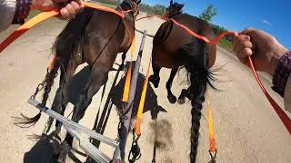 2024 Killarney Day 2 Gracee Chariot GoPro [upl. by Yromem717]