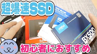 初心者におすすめ超爆速25インチSSDを紹介 23 ウエスタンデジタル Western Digital クルーシャル Crucial サンディスク SanDisk キングストン Kingston [upl. by Andie]