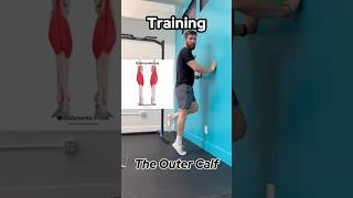 Increase Ankle Mobility Training The Outer Calf [upl. by Stanwinn]