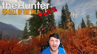 LIVE Hunt amp Hang  theHunter Call of the Wild [upl. by Karli]