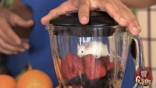 La souris dans le blender à jus [upl. by Fleta238]