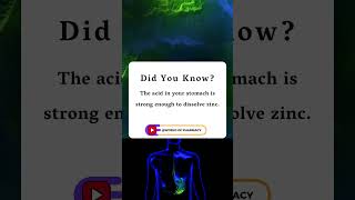 The acid in your stomach is strong enough to dissolve zinc [upl. by Deidre]