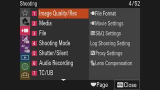 Sony Cine EI vs Flexible ISO [upl. by Jdavie]