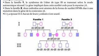 génétique s5 les examens g moléculaire [upl. by Charters]