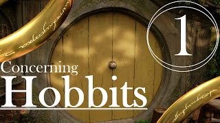 Concerning Hobbits  Part 1 [upl. by Eikcid]