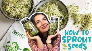 HOW TO SPROUT SEEDS  EASY GUIDE  Foolproof Method [upl. by Laks]