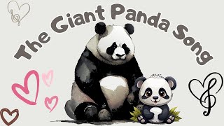 The Panda Bear Song  Animal Songs For Kids  Panda Bear Facts for Kids  Silly School Songs [upl. by Vallie]