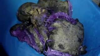 How to Cook Ube Halaya Recipe Pampanga [upl. by Mehcanem806]