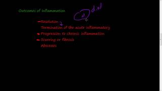 22  Defects in leukocyte function and outcomes of inflammation [upl. by Soneson]