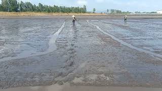 Rice irrigators save a lot of sowing time [upl. by Kcim]