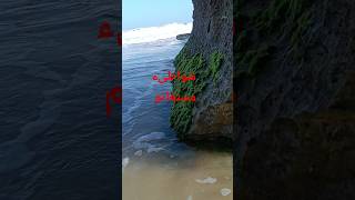 من شواطئ مستغانم اكسبلور sea بحر relaxing تلاوةخاشعة mostaganem wavesounds plage beach [upl. by Ewall]