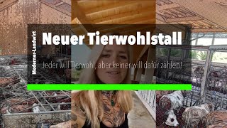 Neuer Tierwohlstall  Jeder will mehr Tierwohl aber keiner will dafür bezahlen [upl. by Jayne]