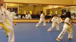 Taekwondo Yellow Belt Poomsae  Taeguek Il Jahng [upl. by Penny129]